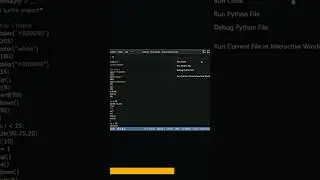 Indian flag Using python 