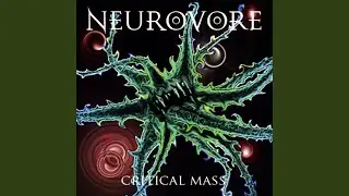 Synapse Error