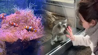 Warsaw ZOO tour (interesting facts about animals)