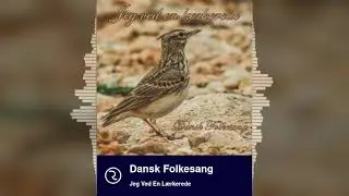 Jeg ved en lærkerede