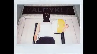 Rimvis - NIDA
