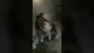 Турецкие солдаты издеваются над пленными сирийцами