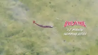 Daiwa BaitJunkie Minnow Soft Plastic Lure - BCF