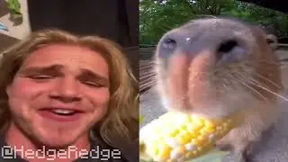 the beautiful steve enjoys a bountiful meal