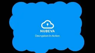 Decryption in Action: TLS Visibility For Pinned Certificates and Dropbox