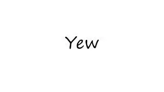 How to Pronounce Yew?