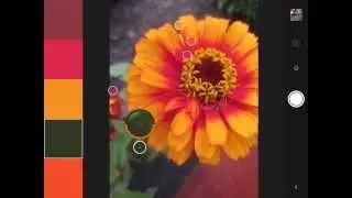 2 of 5 - How to Use the Color Tool in Adobe Capture CC