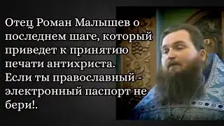 Отец Роман Малышев о последнем шаге, который приведет к принятию печати антихриста. Эл.паспорту нет!