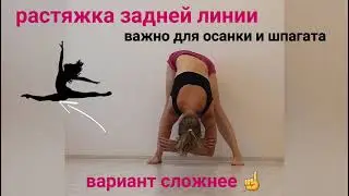 7 августа 2021 г.