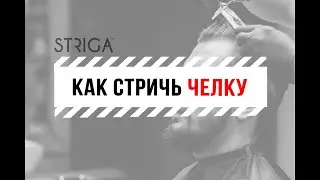 Как стричь челку. Совет от преподавателя Школы Парикмахеров STRIGA ™