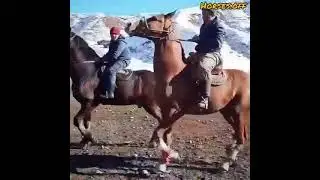 ноокат МАШАЛЛАХ