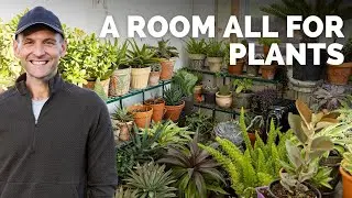 Moving ALL My Plants to the Plant Room! It's Gritty but Real! | Gardening with Wyse Guide
