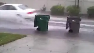Initial T(rash)