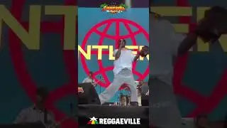 Stonebwoy and German Reggae legend Gentleman performed  at the Summer Jam Festival in Cologne, 🇩🇪🇬🇭🚀