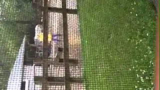Harlem Shake Ep. 1