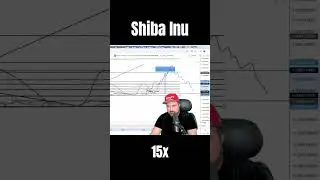 Shiba Inu Could 15x