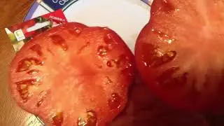 Томат 