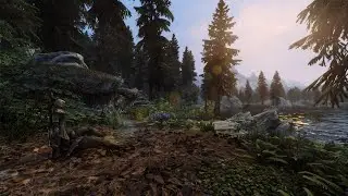 3D Forest Grass + Folkvangr + Parallax + SFO w/o Grass  + Blended Roads (Re-Engaged ENB + Lux)