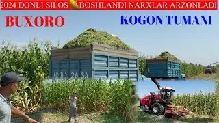 2024 DONLI SILOS 🌽BOSHLANDI NARXLAR ARZONLADI YANGI SILOS SHOSHILING ENG ZORI SHU YERDA ↓