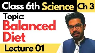 Balanced Diet | Class 6th science - Unit 03 - Lecture 01