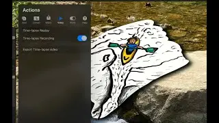 How to create a time-lapse video in Procreate