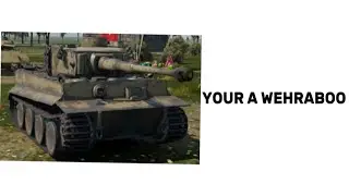 What Your FAVOURITE WTM tank says about You