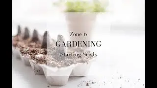 SPRING GARDEN PREPARATION | Zone 6 Gardening