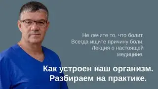 Как устроен наш организм. Разбираем на практике.
