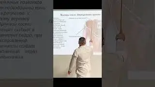 Подвздошно-поясничная мышца | musculus iliopsoas