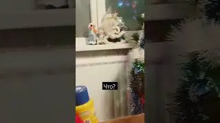 Бригаду? 