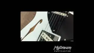MyDream Partcaster Custom Built - Black & White Thinline Quarter Pound