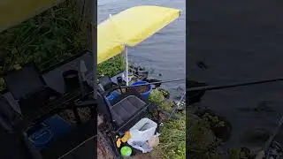 соревнования..на Чегеринском вдх..