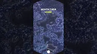 Morning Breath Under Microscope 🤢 