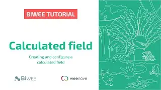 Tutorial : Calculated Fields