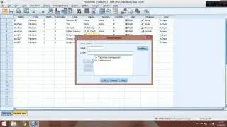 SPSS Dersleri - Bölüm 1.1 - Veri Girişi Örneği