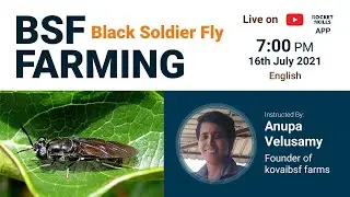 🔴 LIVE: [7PM, 16th July]: What is Black Soldier Fly? (in English)