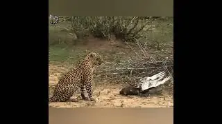 УЖАСНЫЙ КОНЕЦ