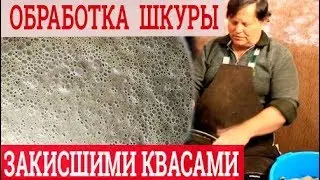 Квашение шкур. Выделка шкур закисшими киселями