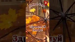 1 ноября С Первым днём ноября 🍂,доброеутро