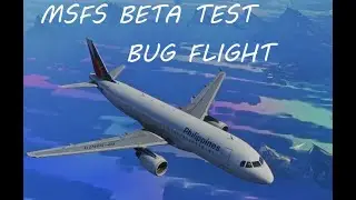 【MSFS  TEST】Sim UpDate 10 Beta 4K Test flight-4   #msfs2020,#msfsbug