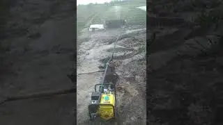 Полив 