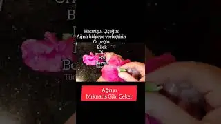 BABAANNEM DEN ÇOK ESKİ BİR TARİF