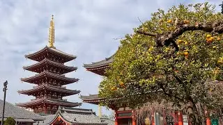 Korea and Japan 2024