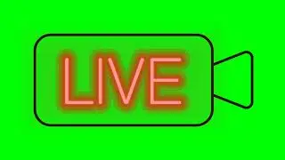 Neon Signage Live HQ / Greenscreen HD for Vlogs