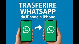 Got a New iPhone? Here’s How to Transfer WhatsApp