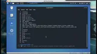 How to disable auto suggestion feature in Kali linux