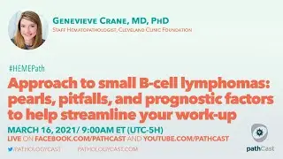 Approach to small B-cell lymphomas - Dr. Crane (Cleveland Clinic) 