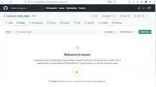 041c Creating a GitHub issue