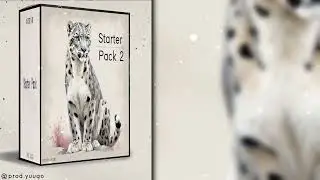 「Starter Pack」Japanese X Asian Starter Pack 2