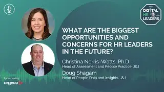 WHAT ARE THE BIGGEST OPPORTUNITIES AND CONCERNS FOR HR LEADERS IN THE FUTURE?